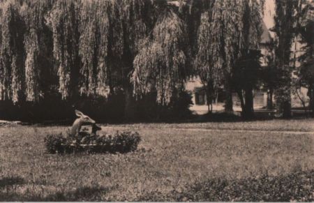 Bad Lausick - Rehgruppe am Bahnhof Bad Lausick - Rehgruppe am Bahnhof