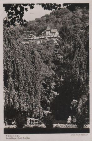 Freiburg - Schloßberg-Restaurant vom Stadtgarten - ca. 1960 Freiburg - Schloßberg-Restaurant vom Stadtgarten - ca. 1960