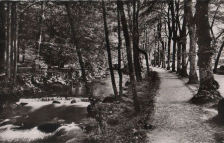 Bad Wildbad - An der Enz - 1965 Bad Wildbad - An der Enz - 1965