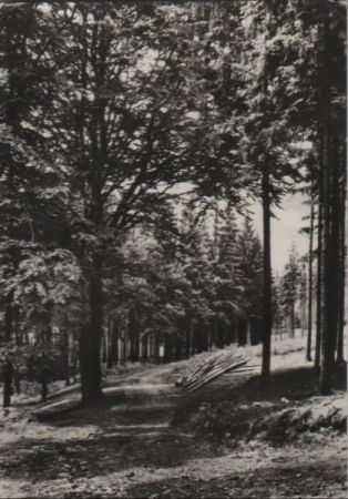 Chemnitz-Einsiedel - Dittersdorfer Straße - 1970 Chemnitz-Einsiedel - Dittersdorfer Straße - 1970