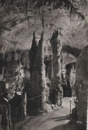 Slowenien - Postojnska Jama - 1967 Slowenien - Postojnska Jama - 1967