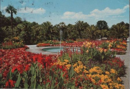 Bad Pyrmont - Palmengarten im Kurpark - 1976 Bad Pyrmont - Palmengarten im Kurpark - 1976
