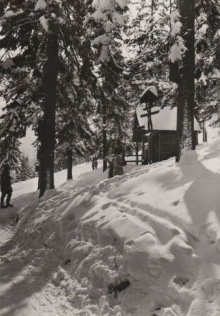 Oberwiesenthal - Am Eckbauer - 1981 Oberwiesenthal - Am Eckbauer - 1981