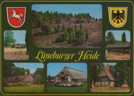 Lüneburger Heide - mit 6 Bildern - ca. 1985 Lüneburger Heide - mit 6 Bildern - ca. 1985
