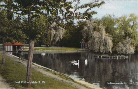 Bad Rothenfelde - Schwanenteich - 1964 Bad Rothenfelde - Schwanenteich - 1964