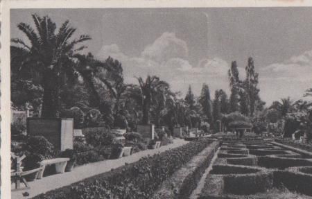 Bad Pyrmont und der Palmengarten - 1930 Bad Pyrmont und der Palmengarten - 1930