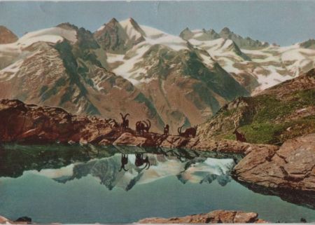 Italien - Cogne - Laghetto del Lauson - 1968 Italien - Cogne - Laghetto del Lauson - 1968