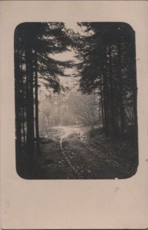 Nasser Weg im Wald - ca. 1935 Nasser Weg im Wald - ca. 1935