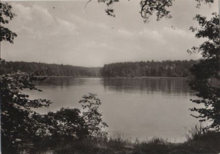 Dahlen-Ochsensaal - Dammühlenteich - ca. 1965 Dahlen-Ochsensaal - Dammühlenteich - ca. 1965