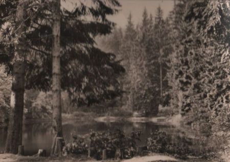 Kleiner See im Wald - ca. 1970 Kleiner See im Wald - ca. 1970