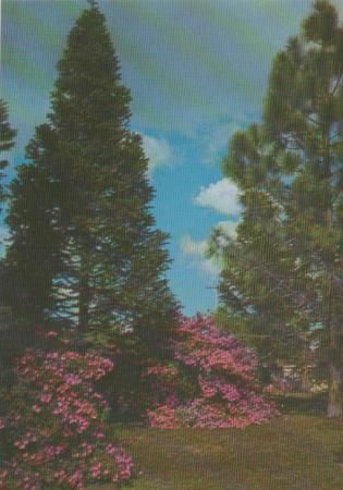 Brasilien - Gramado - ca. 1975 Brasilien - Gramado - ca. 1975