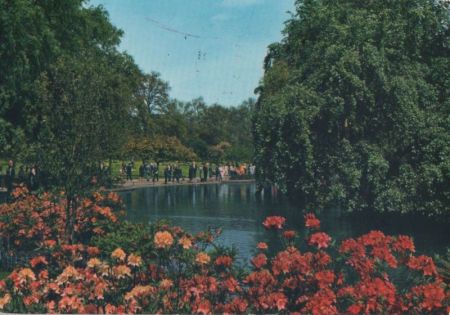 Großbritannien - London - James Park - 1967 Großbritannien - London - James Park - 1967