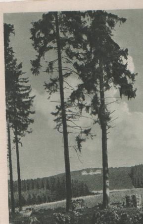 Sorge - Johanniter-Heilstätte - ca. 1955 Sorge - Johanniter-Heilstätte - ca. 1955