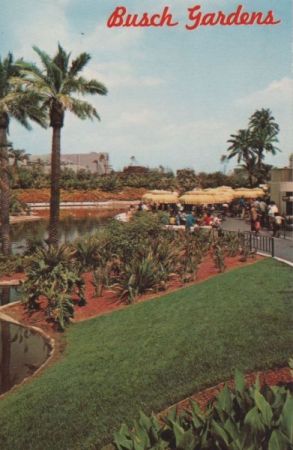 USA - Los Angeles - Busch Gardens - 1971 USA - Los Angeles - Busch Gardens - 1971