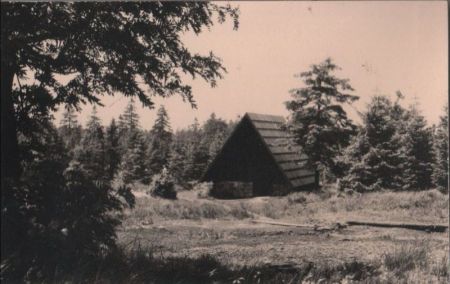 Altenberg, Zinnwald-Georgenfeld - Georgenfelder Hochmoor - 1962 Altenberg, Zinnwald-Georgenfeld - Georgenfelder Hochmoor - 1962