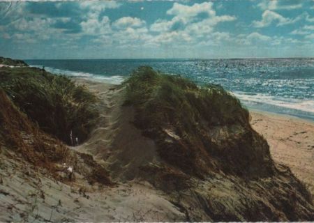 Dünen am Meer - 1966 Dünen am Meer - 1966