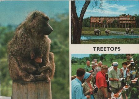 Kenia - Aberdare-Nationalpark, Treetops Hotel - ca. 1980 Kenia - Aberdare-Nationalpark, Treetops Hotel - ca. 1980