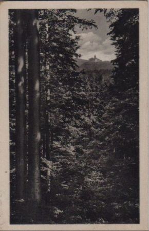 Eisenach - Durchblick von Hoher Sonne - 1953 Eisenach - Durchblick von Hoher Sonne - 1953
