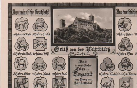 Wartburg Eisenach - männl. u. weibl. - 1957 Wartburg Eisenach - männl. u. weibl. - 1957