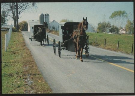 USA - Amish Country - Tailgating - ca. 1980 USA - Amish Country - Tailgating - ca. 1980