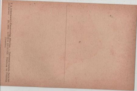 Richter - Brautzug im Frühling