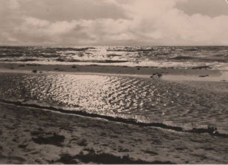 Treibgut am Meeresstrand - 1971