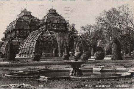 Österreich - Wien - Schönbrunn, Palmenhaus - 1961 Österreich - Wien - Schönbrunn, Palmenhaus - 1961