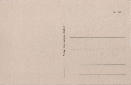 Breiter Bach im Wald