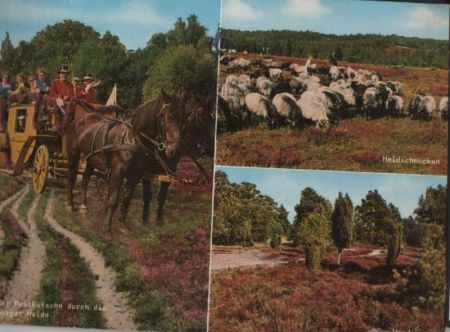 Lüneburger Heide - mit der Postkutsche - 1968 Lüneburger Heide - mit der Postkutsche - 1968