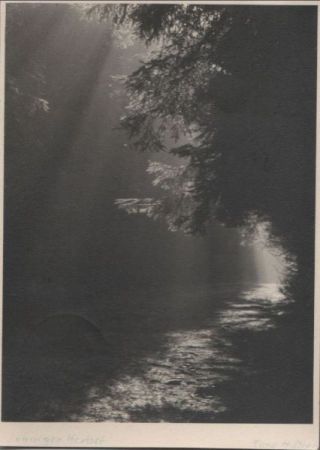 Breiter Bach im Wald - 1955 Breiter Bach im Wald - 1955