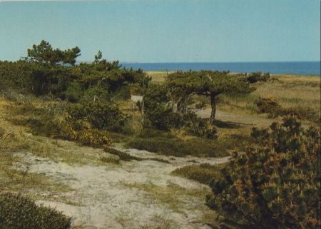 Kampen (Sylt) - bei der Vogelkoje - 1978 Kampen (Sylt) - bei der Vogelkoje - 1978
