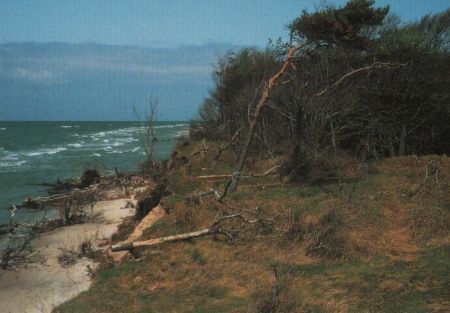 Natürlicher Meeresstrand - 1994 Natürlicher Meeresstrand - 1994