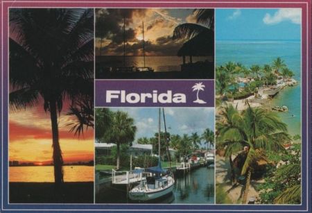 Florida - 4 Bilder Florida - 4 Bilder