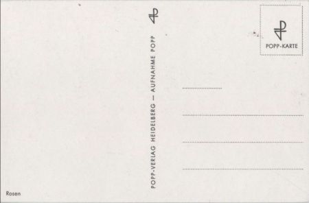 Rosen Dreifachblüte