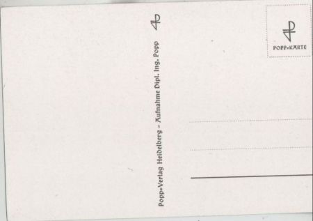 Pflanze mit vielen Blüten