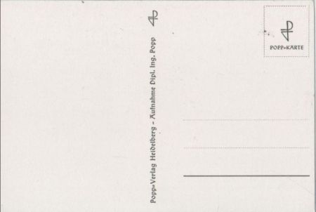 schwarzweißes Bild zwei Blüten