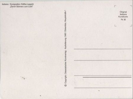 Ikebana Durch Schmerz und Licht