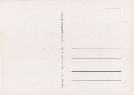 Rosa Indica Cruenta blühend