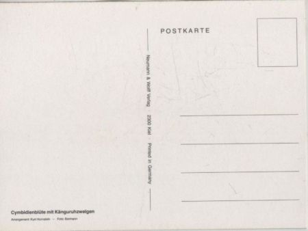 Cymbidienblüte Arrangement