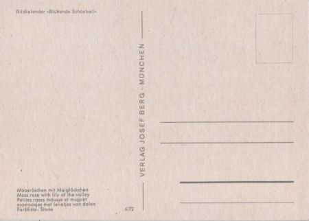 Blühende Schönheit Moosröschen mit Maiglöckchen