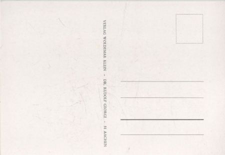 Rosa indica vulgaris blühend