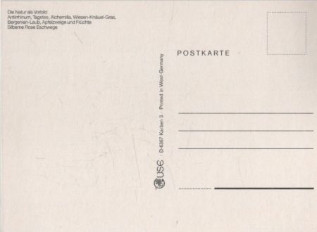 Natur als Vorbild Arrangement