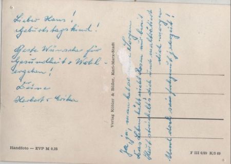 Zwei Katzen noch jung