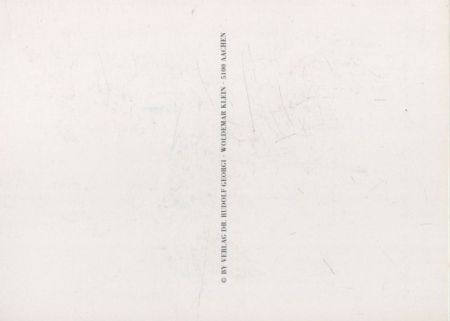 Rosa Indica fragrans blühend