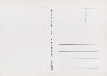 Rosa Pumila blühend