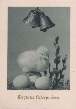 Herzliche Ostergrüße Küken Herzliche Ostergrüße Küken