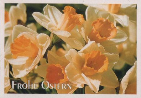 Frohe Ostern Blumen Frohe Ostern Blumen