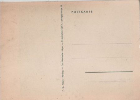 An seine Grenzen Leiter an Baum