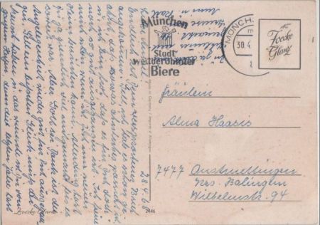 Kurz angebunden Dromedar