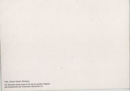 Blüte mit Schmetterling